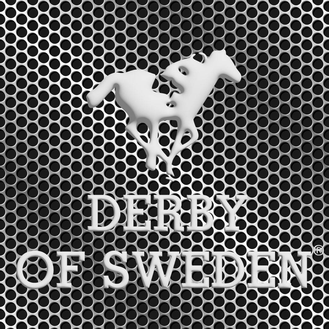 DERBY OF SWEDEN