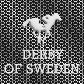 DERBY OF SWEDEN