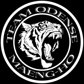 Team Odense Maeng-Ho