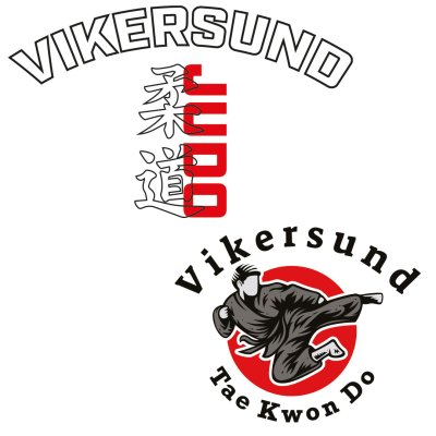 Vikersund Norge