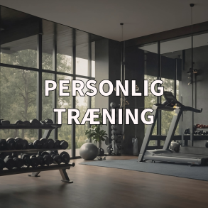 Personlig tr&aelig;ning