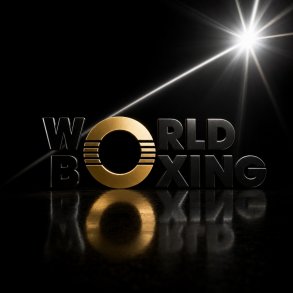 GODKENDT - WORLD BOXING