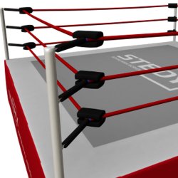 Wresling ring - 7x7 meter med gulv