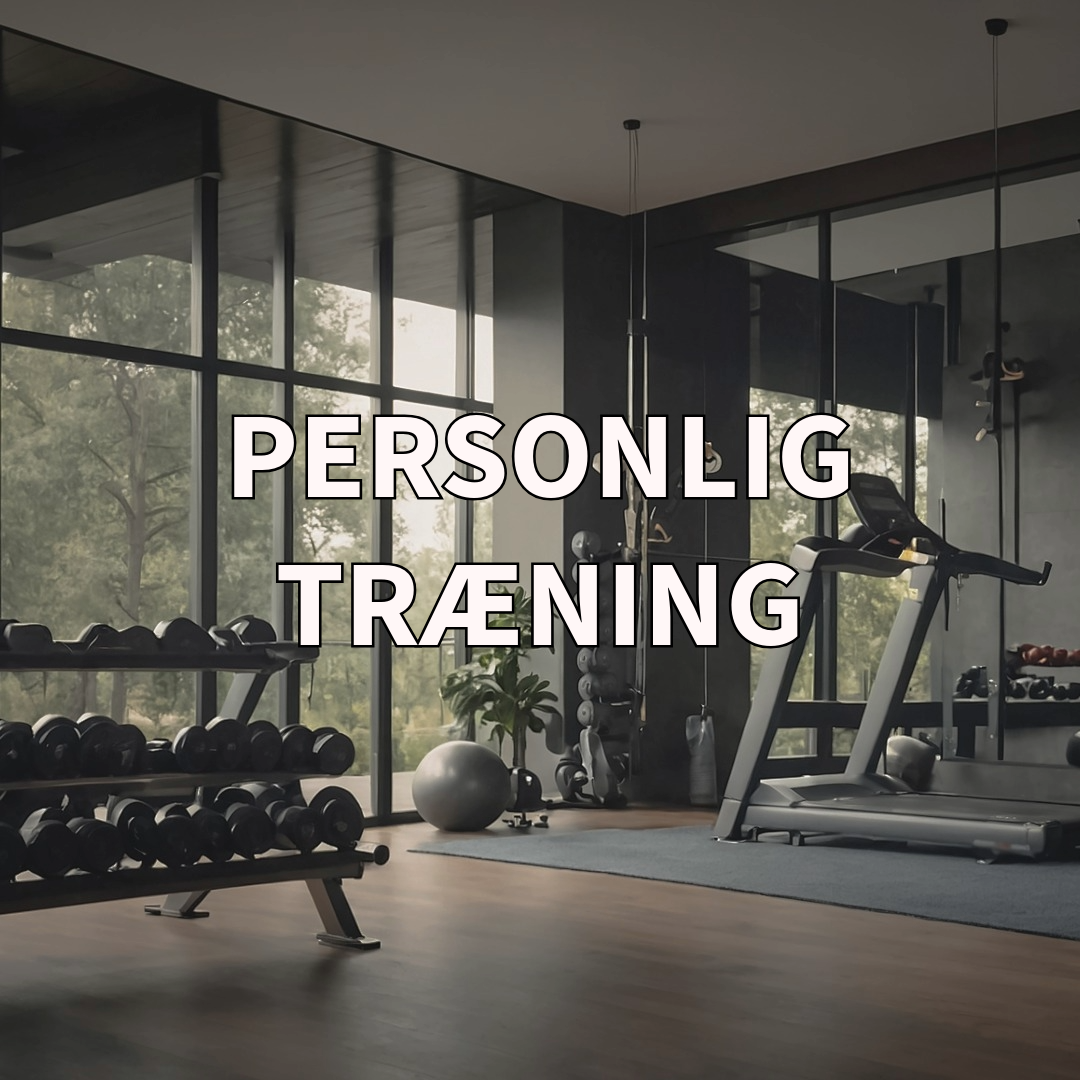 Personlig tr&aelig;ning