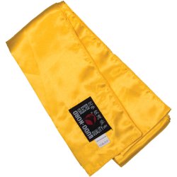 Kung Fu sash