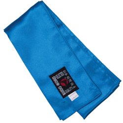 Kung Fu sash