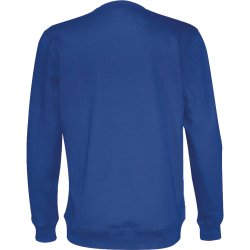 Sweatshirt RN �ko-bomuld - herre