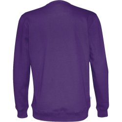 Sweatshirt RN �ko-bomuld - herre