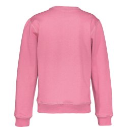 Sweatshirt RN ko-bomuld - junior