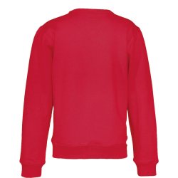 Sweatshirt RN ko-bomuld - junior