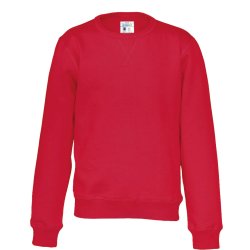 Sweatshirt RN ko-bomuld - junior