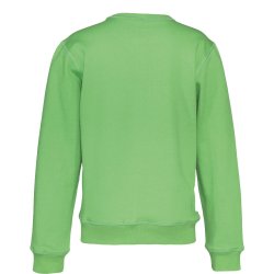 Sweatshirt RN ko-bomuld - junior