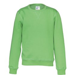 Sweatshirt RN ko-bomuld - junior