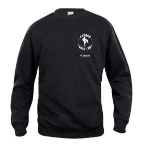 Aarhus MT sweatshirt Basic RN - junior