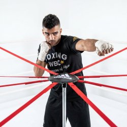 Undvigelsessystem til boksning