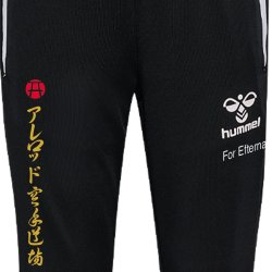 AKD trningsbukser hmlLEAD 2.0 - herre