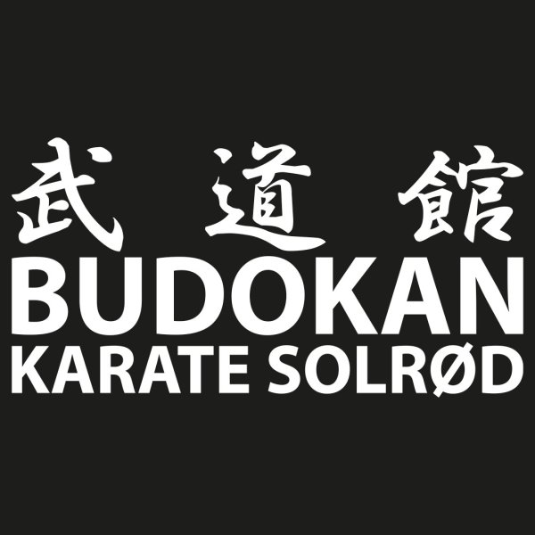 Budokan ryglogo - brodering