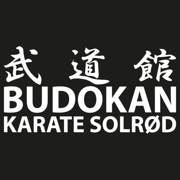 Budokan ryglogo - brodering