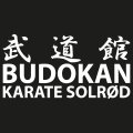 Budokan ryglogo