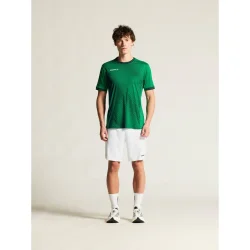 T-shirt Evolve 2.0 Graphic Jersey - herre