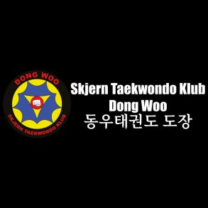 Skjern taskelogo - tryk