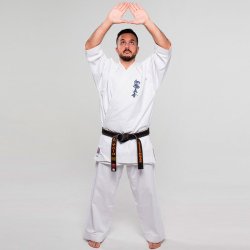 Yantsu gi - Shinkyokushin