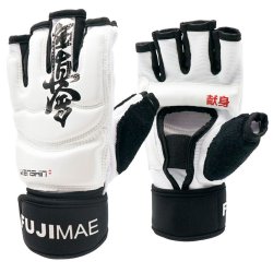 Kamphandsker kanji - kyokushin