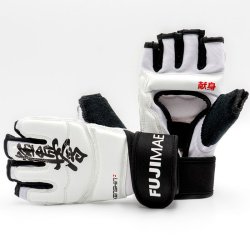 Kamphandske kanji - kyokushin