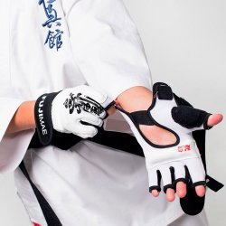 Kamphandsker kanji - kyokushin