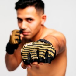 Inderhandsker - ProSeries 2.0 - sort/guld