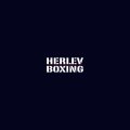Herlev Boxing logo