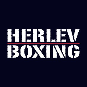 Herlev Boxing logo - ryg