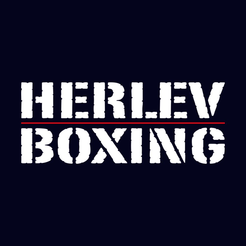 Herlev Boxing logo - ryg