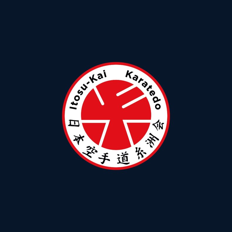 Kaizen brystlogo - tryk