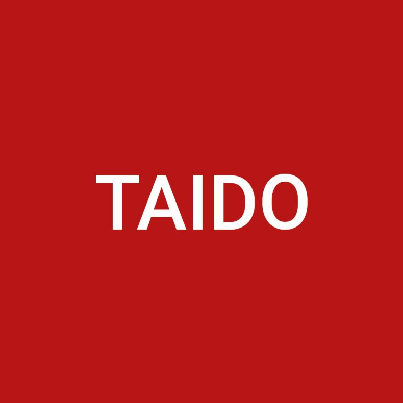 Taido K�benhavn t-shirt logo - small