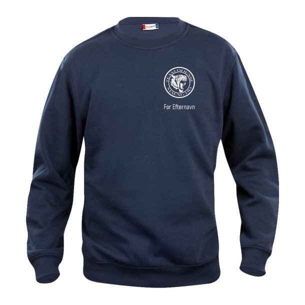 Team Odense sweatshirt Basic RN navy - junior