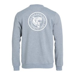 Team Odense sweatshirt Basic RN gr� - junior