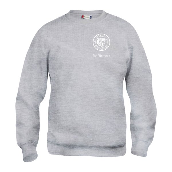 Team Odense sweatshirt Basic RN gr� - junior