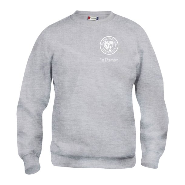 Team Odense sweatshirt Basic RN gr - junior