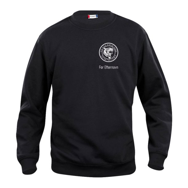 Team Odense sweatshirt Basic RN sort - junior