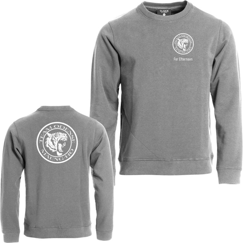 Team Odense sweatshirt Classic RN gr� - unisex