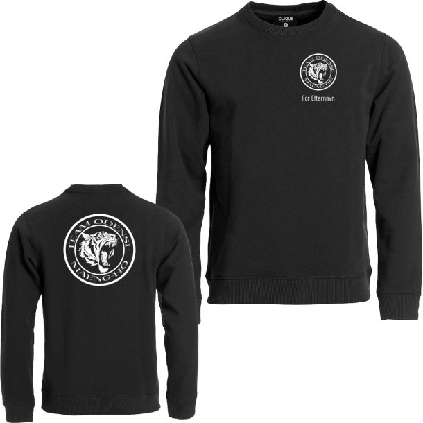 Team Odense sweatshirt Classic RN sort - unisex