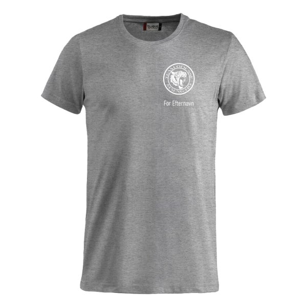 Team Odense t-shirt Basic gr� - junior