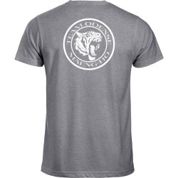 Team Odense t-shirt New Classic gr� - herre