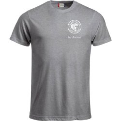 Team Odense t-shirt New Classic gr� - herre