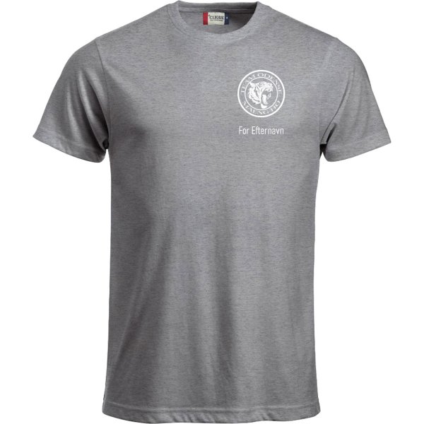 Team Odense t-shirt New Classic gr� - herre