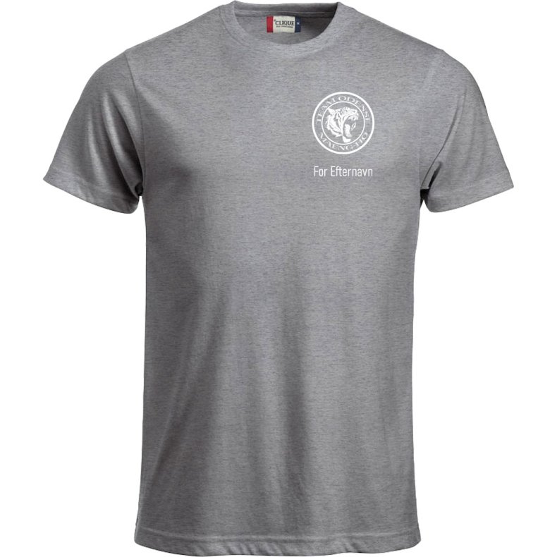 Team Odense t-shirt New Classic gr� - herre