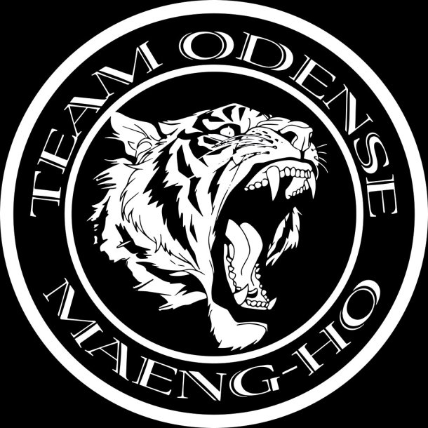 Team Odense logo - large