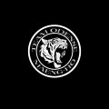 Team Odense logo