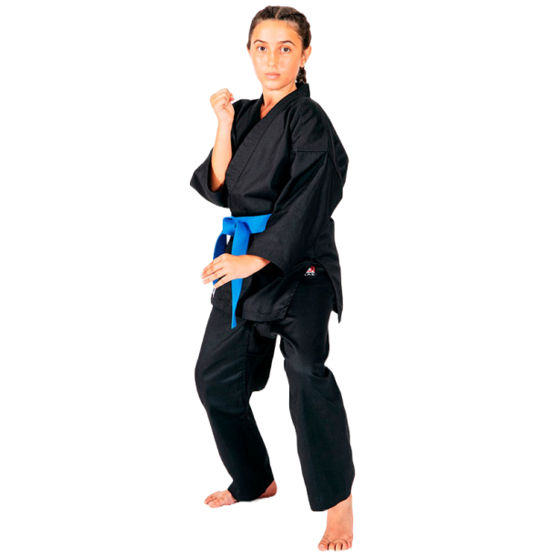 FujiMae Basic gi